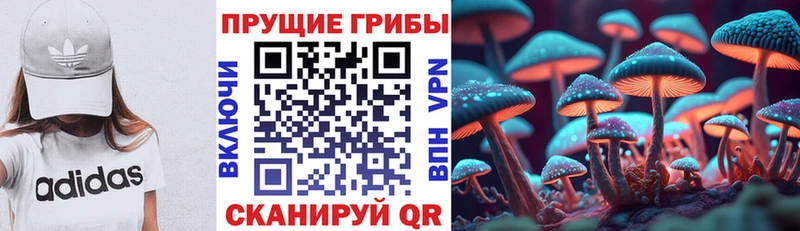 Галлюциногенные грибы ЛСД  где продают наркотики  Эртиль 
